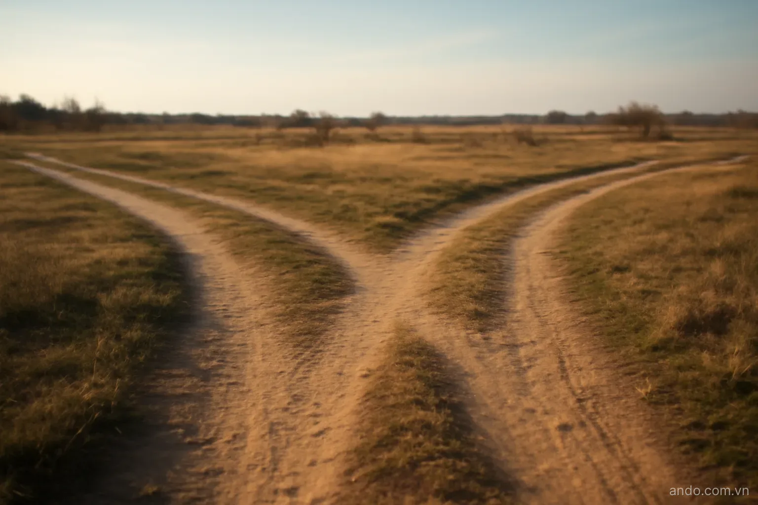 A plain junction of three dirt paths diverging from one point across open ground, low afternoon light, no text